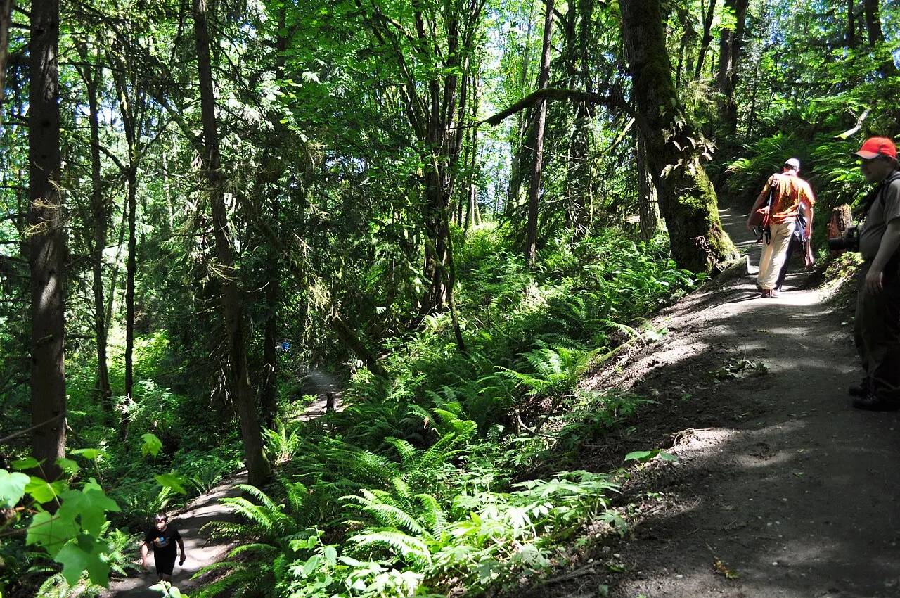 Evans Creek Preserve, Sammamish, Washington, United States