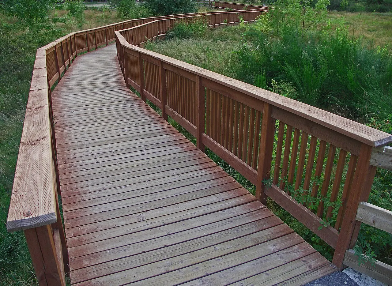 Ebright Creek Park, Sammamish, Washington, United States