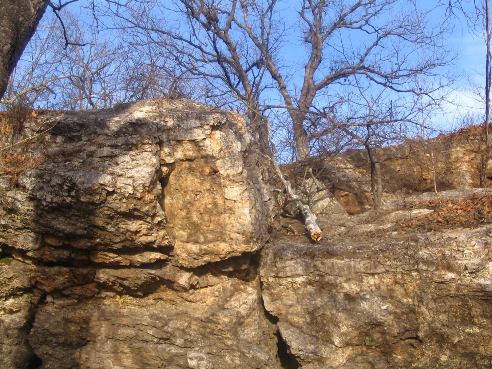 Wildcat Glades Conservation and Audubon Center, Joplin, Missouri, United States