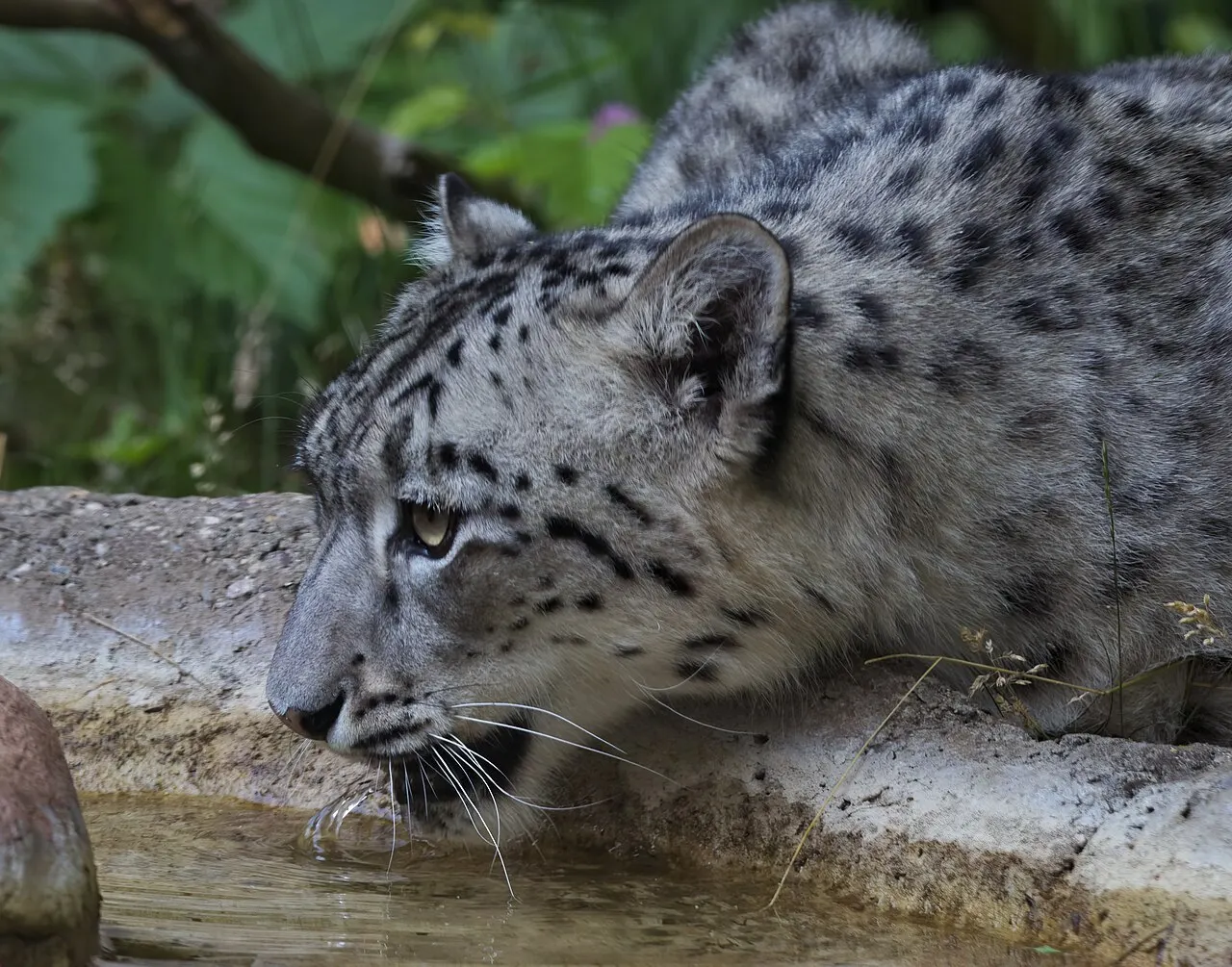 Binder Park Zoo, Battle Creek, Michigan, United States
