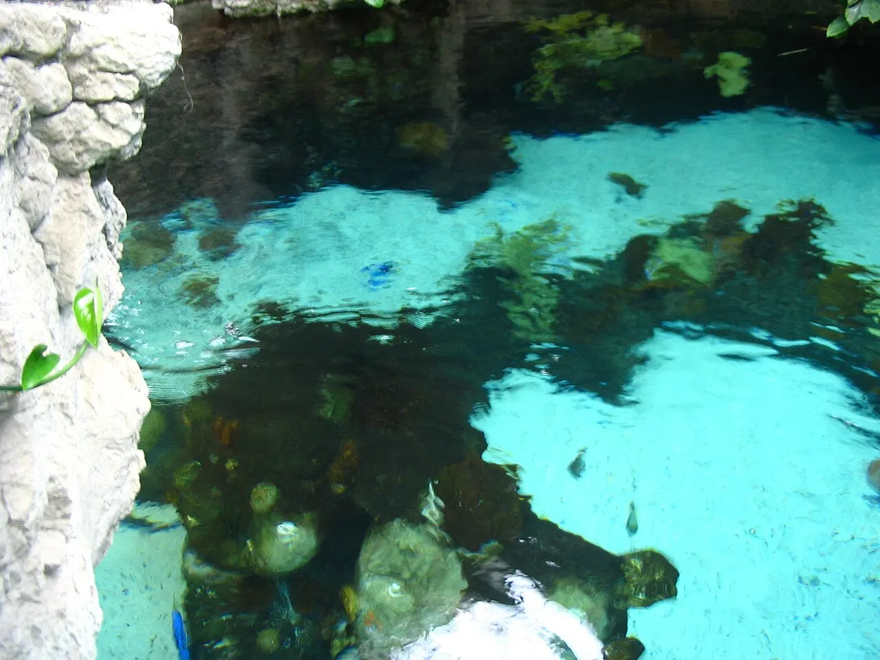 Minnesota Zoo, Apple Valley, Minnesota, United States