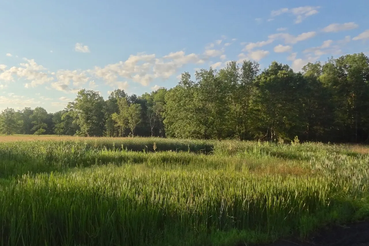 Troy Meadows, Parsippany, New Jersey, United States