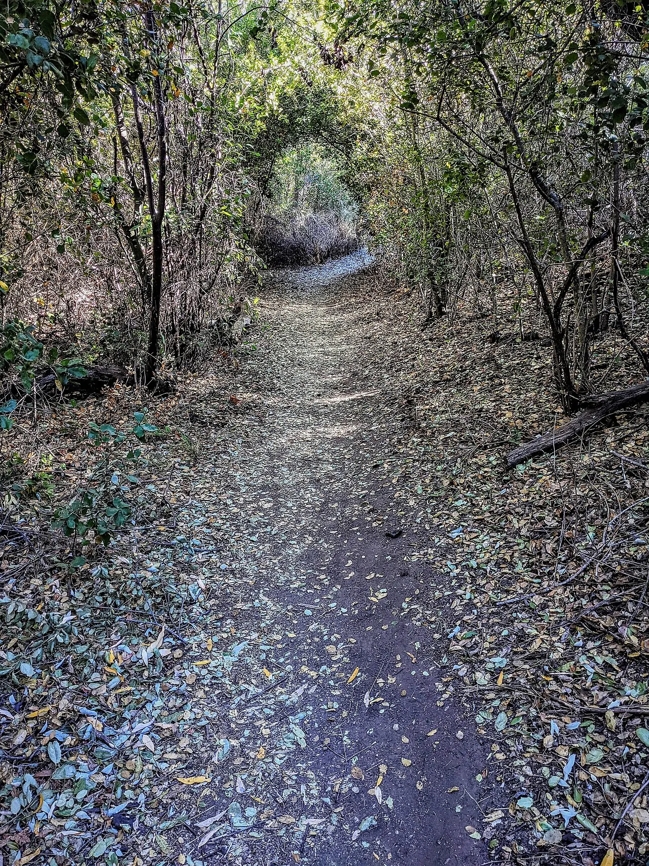 Blue Sky Ecological Reserve, Poway, California, United States