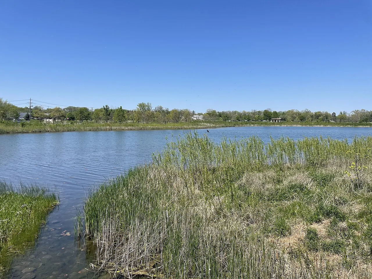 Hidden Lake Forest Preserve, Downers Grove, Illinois, United States