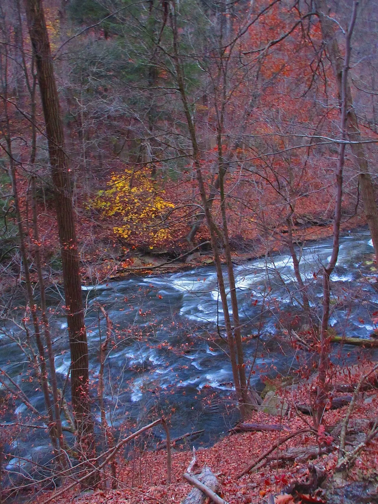 Gorge Metro Park, Cuyahoga Falls, Ohio, United States