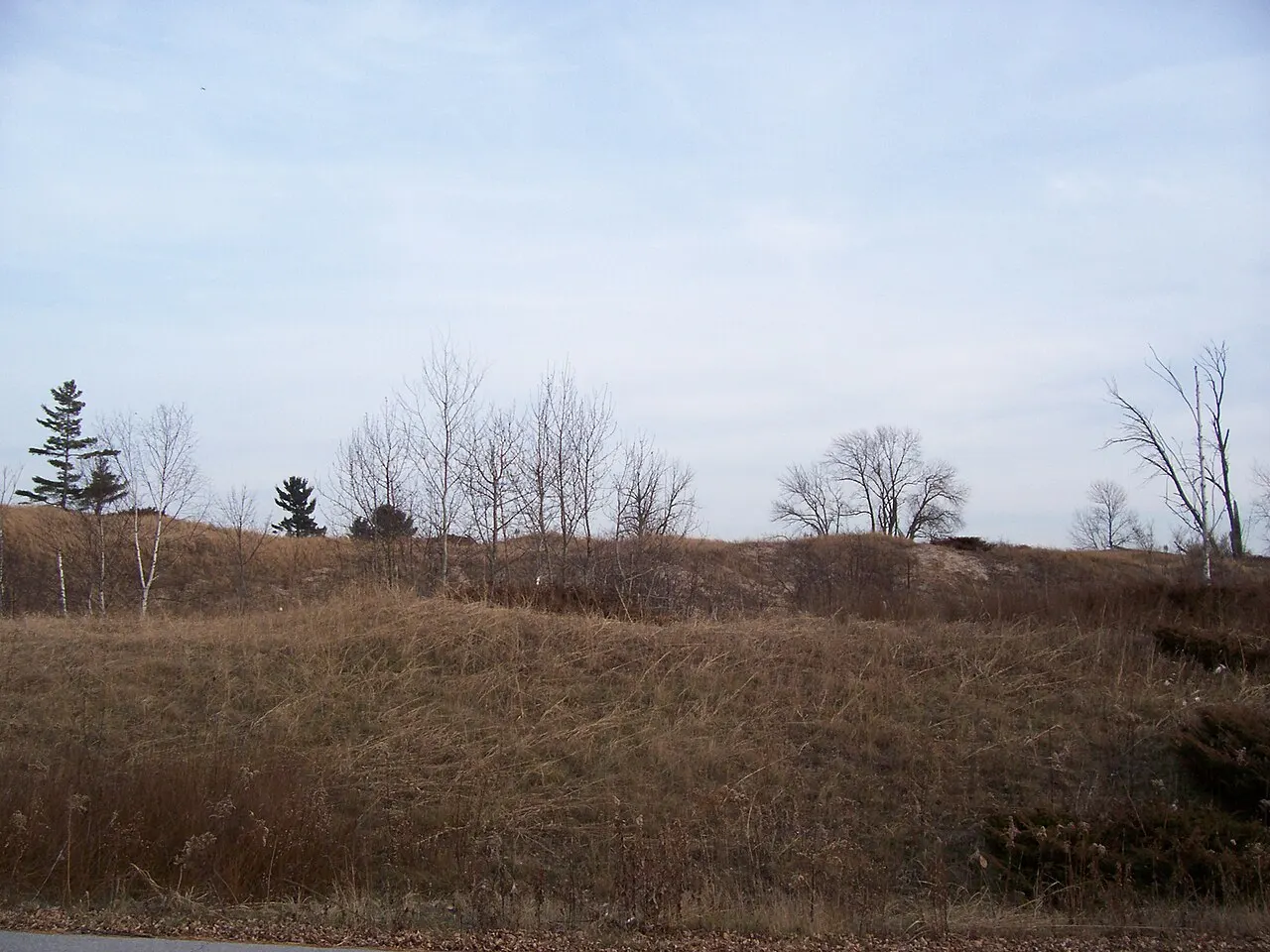 Kohler-Andrae State Park, Sheboygan, Wisconsin, United States
