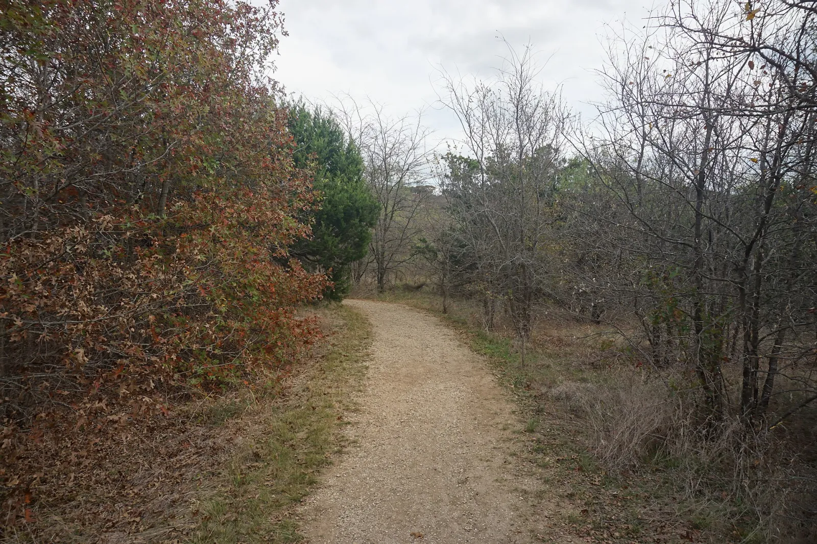 Cedar Hill State Park November 2020 04 (Duck Pond Trail), Cedar Hill, Texas, United States