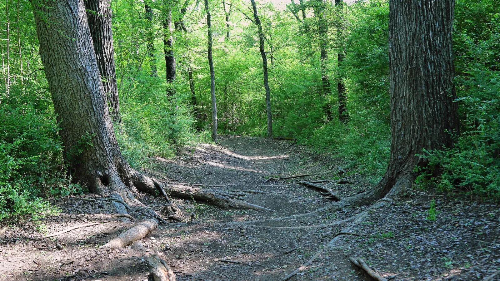 DORBA Trail Cedar Hill State Park, Cedar Hill, Texas, United States