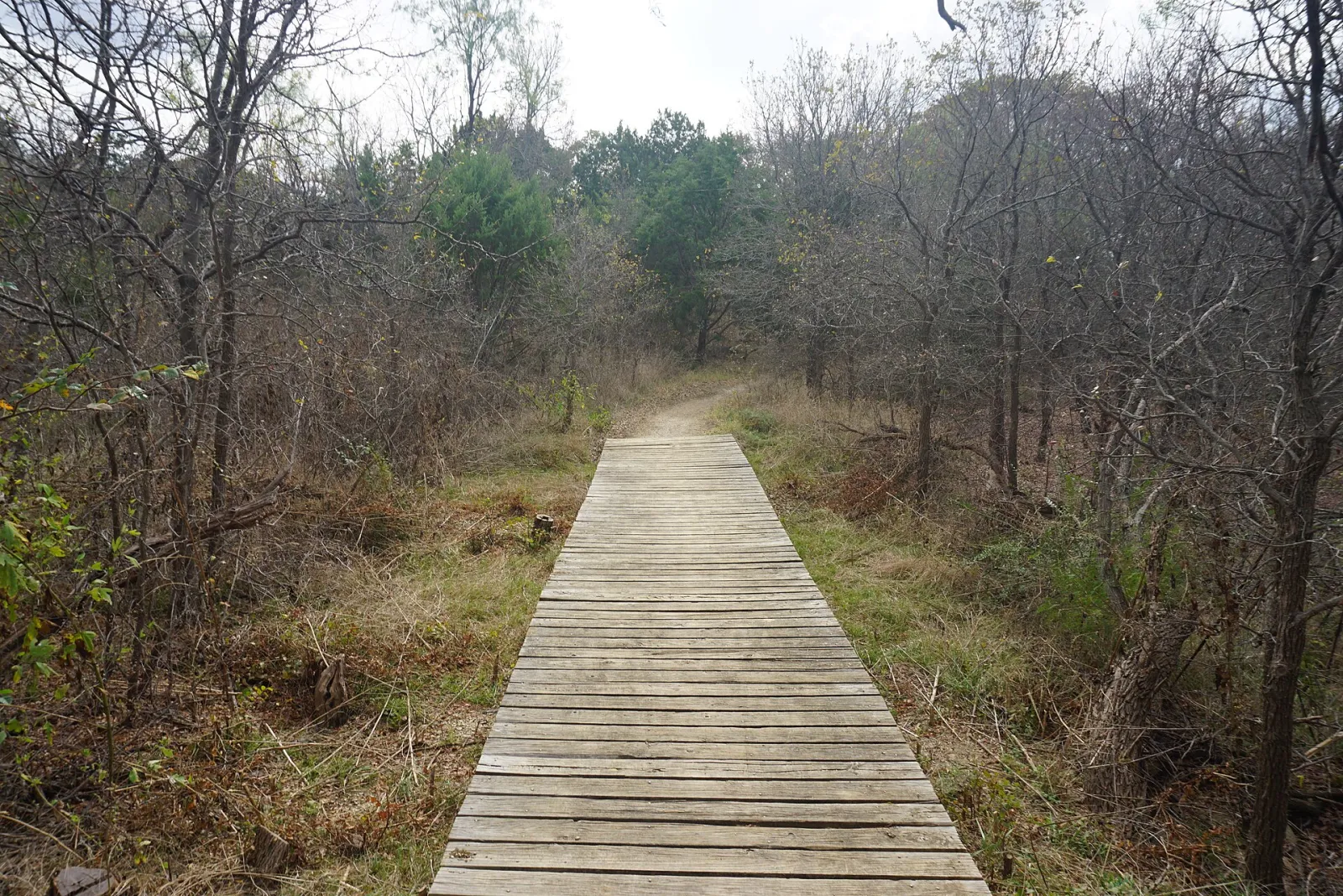 Cedar Hill State Park November 2020 06 (Duck Pond Trail), Cedar Hill, Texas, United States