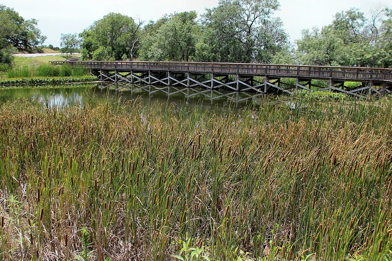 Cedar Hill State Park, Cedar Hill, Texas, United States