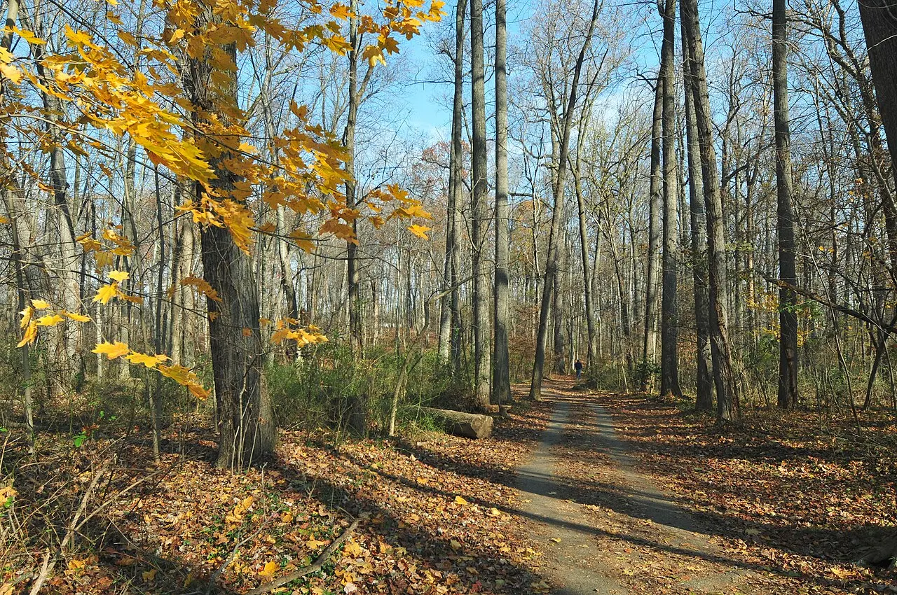 Sligo Creek Trail, Wheaton, Maryland, United States