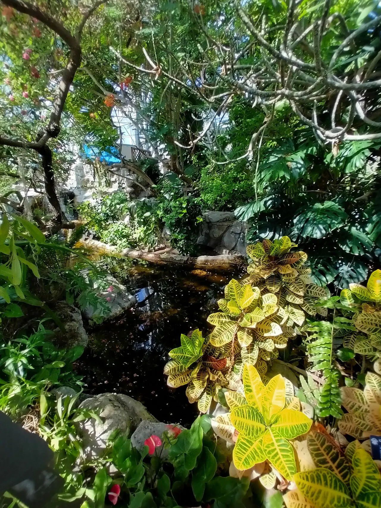Sophia M. Sachs Butterfly House, Chesterfield, Missouri, United States