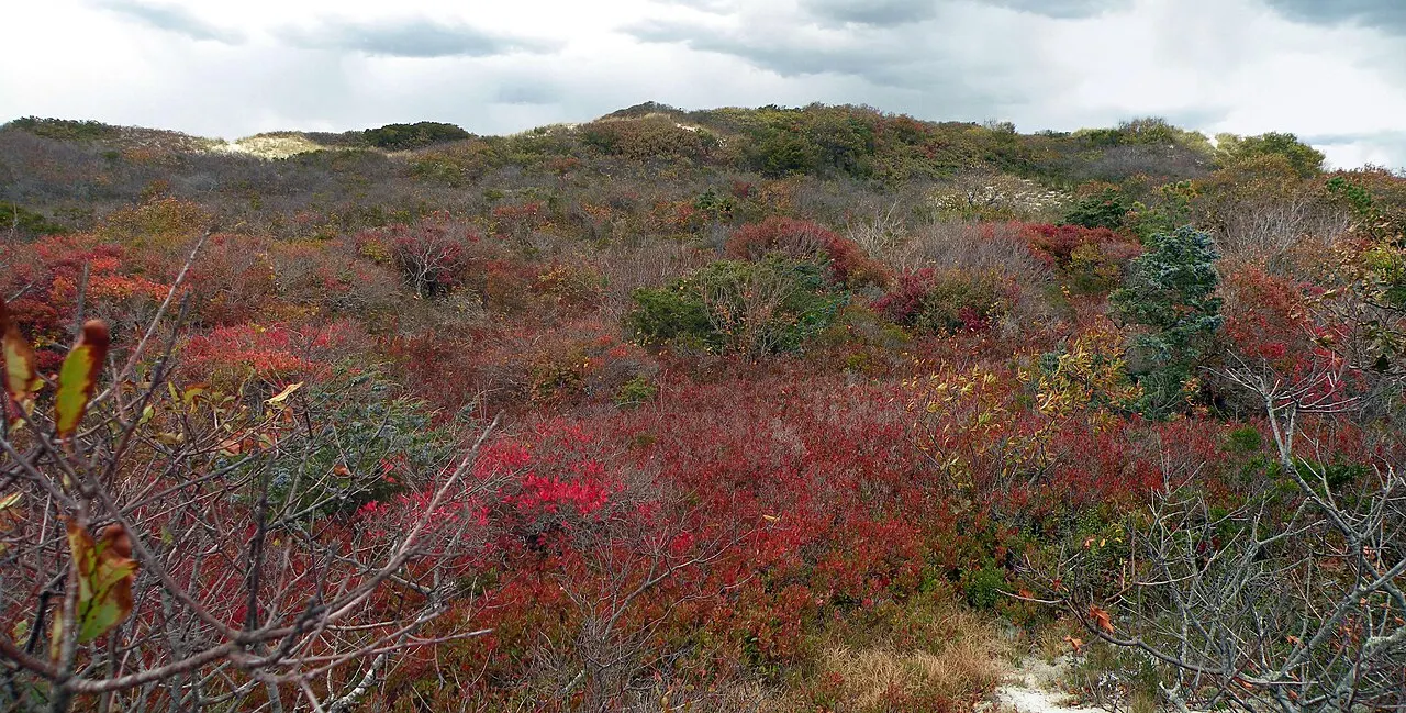 Sandy Neck Beach, Barnstable, Massachusetts, United States