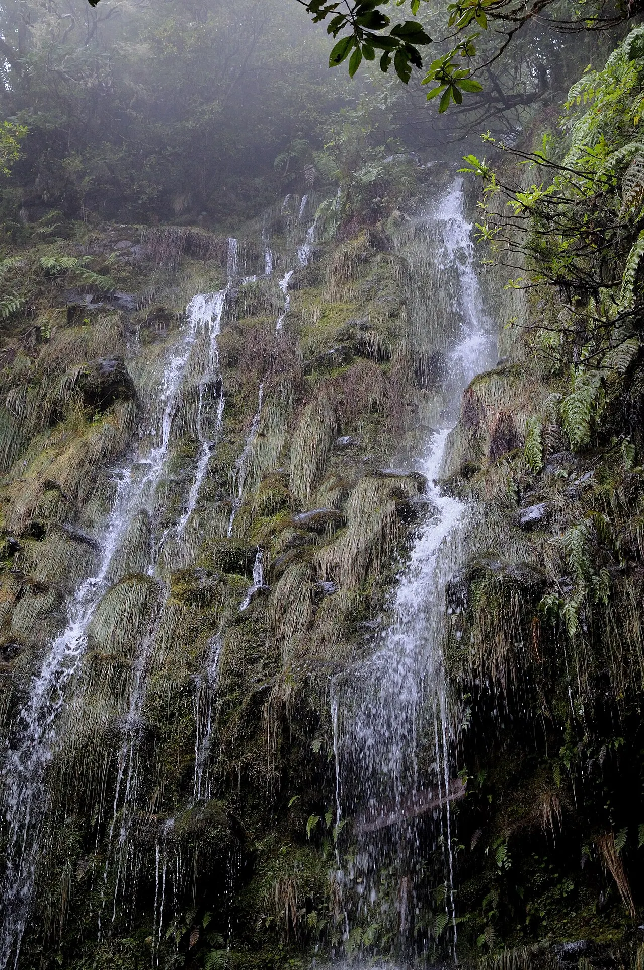 Levada do Caldeirão Verde, Madeira, Portugal