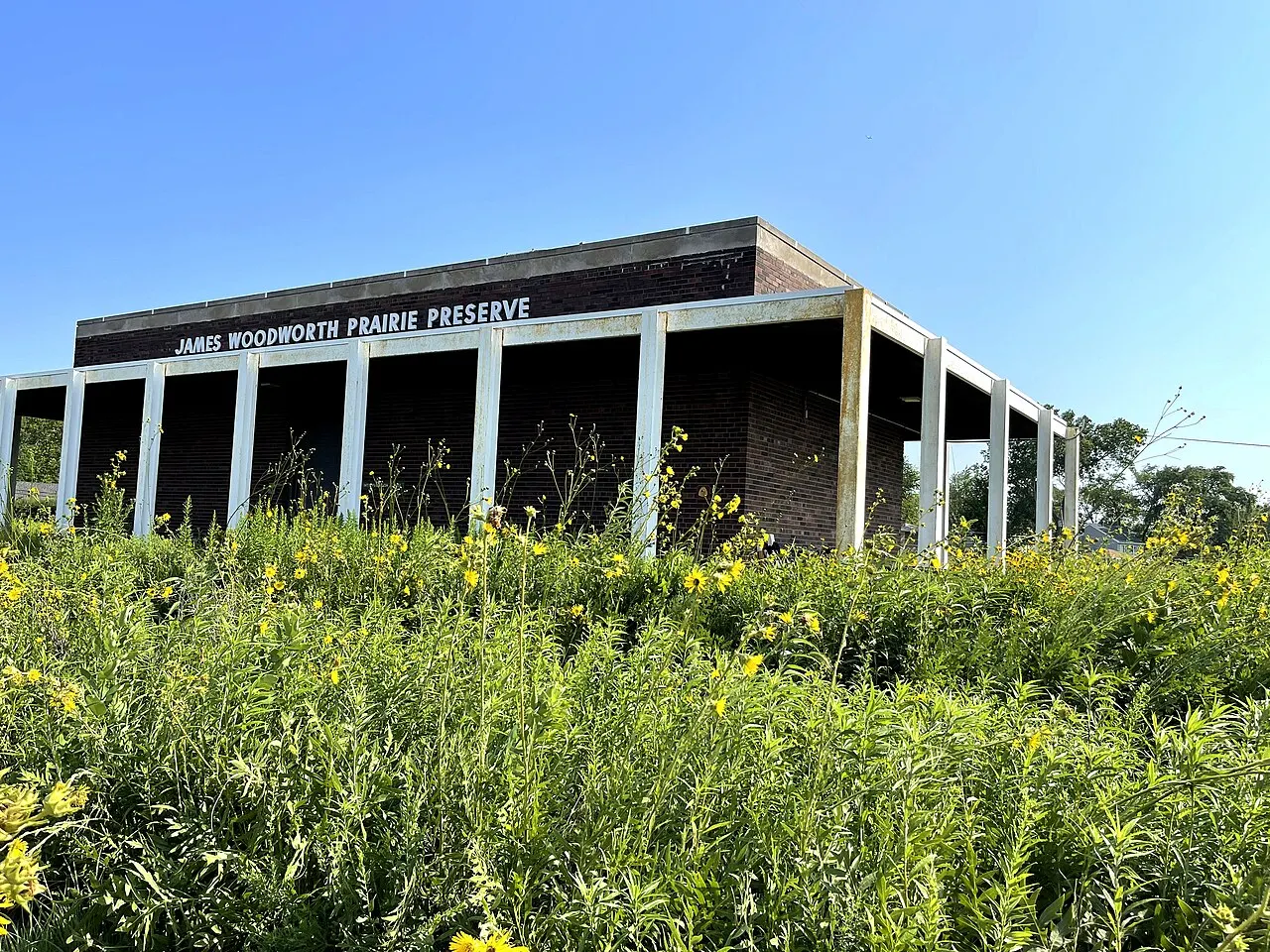 James Woodworth Prairie Preserve, Glenview, Illinois, United States