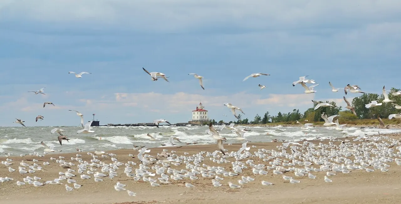 Headlands Beach State Park, Mentor, Ohio, United States