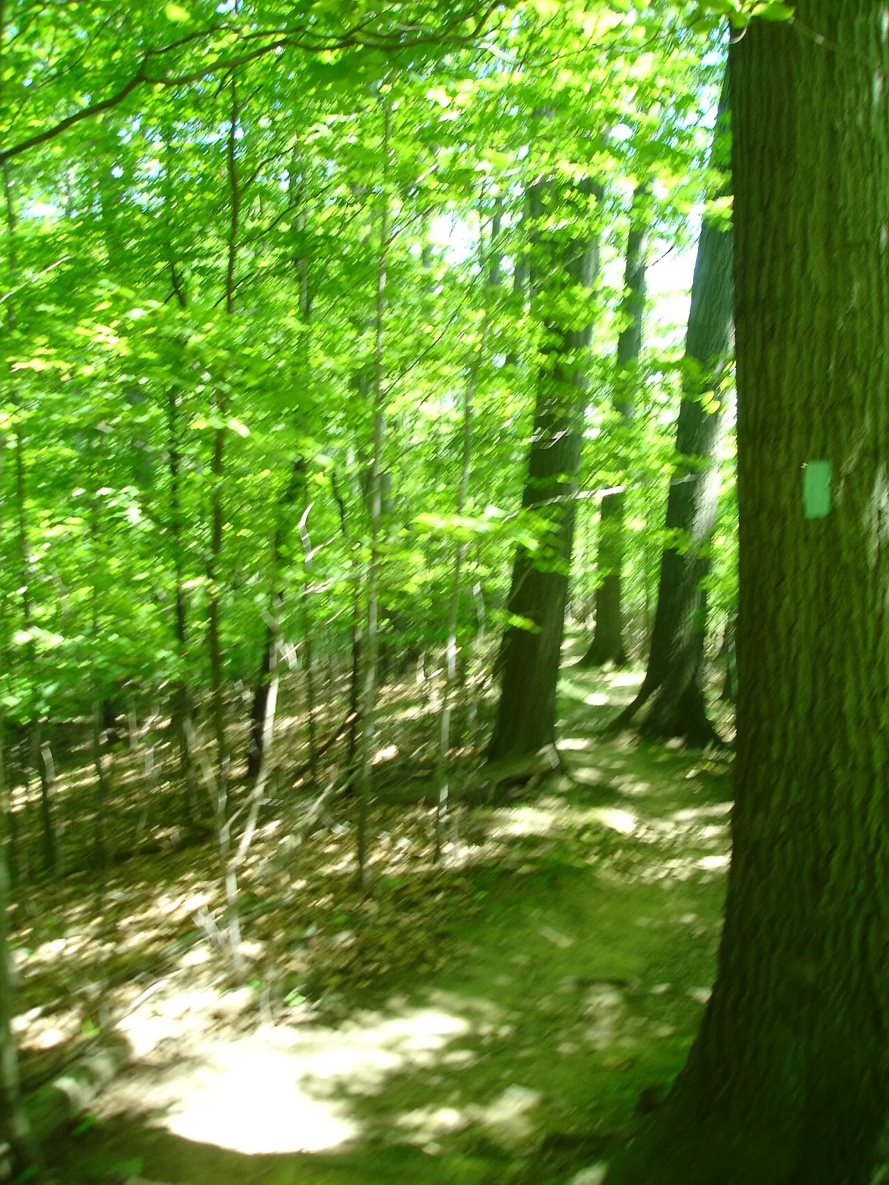 Mentor Marsh State Nature Preserve, Mentor, Ohio, United States