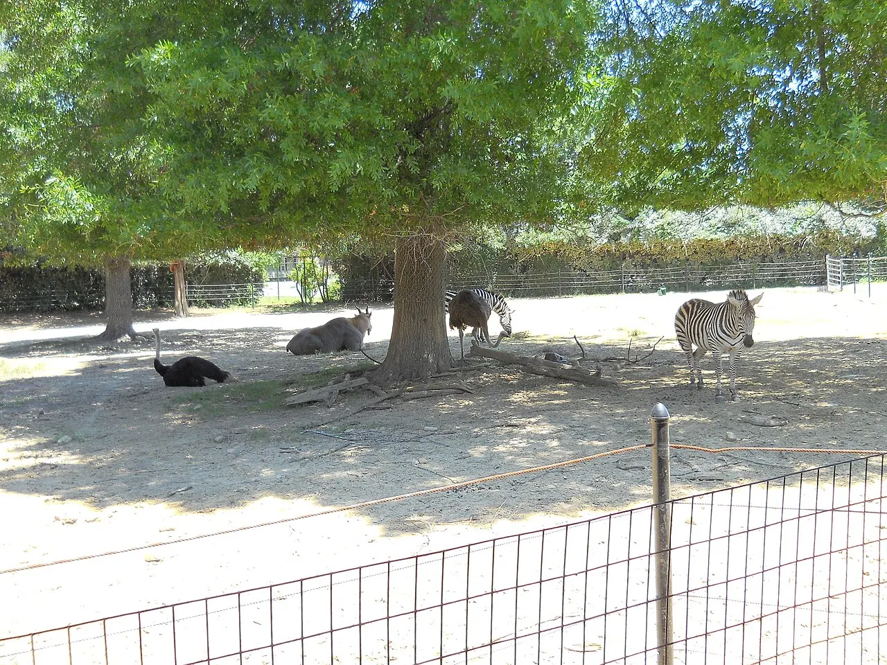 Hattiesburg Zoo, Hattiesburg, Mississippi, United States