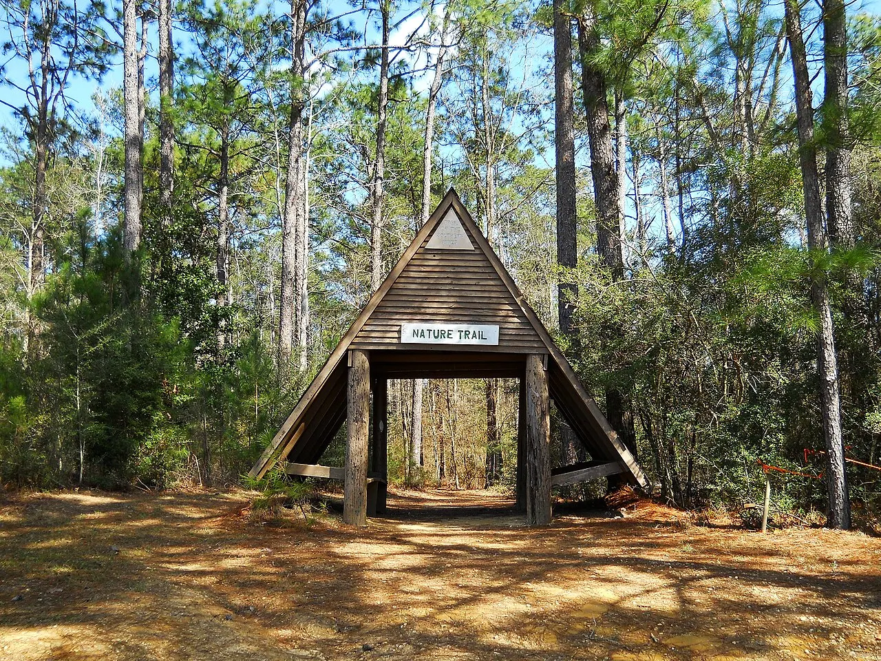Paul B. Johnson State Park, Hattiesburg, Mississippi, United States