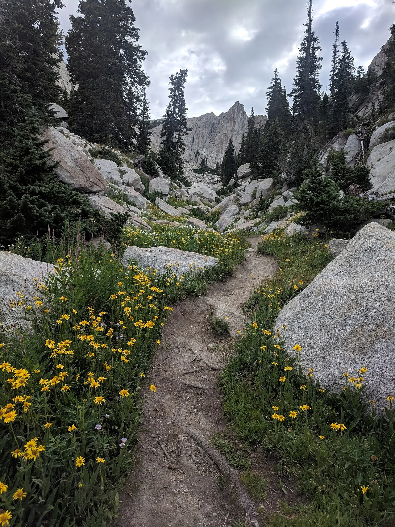 Jacob's Ladder Trail to Lone Peak, Draper, Utah, United States