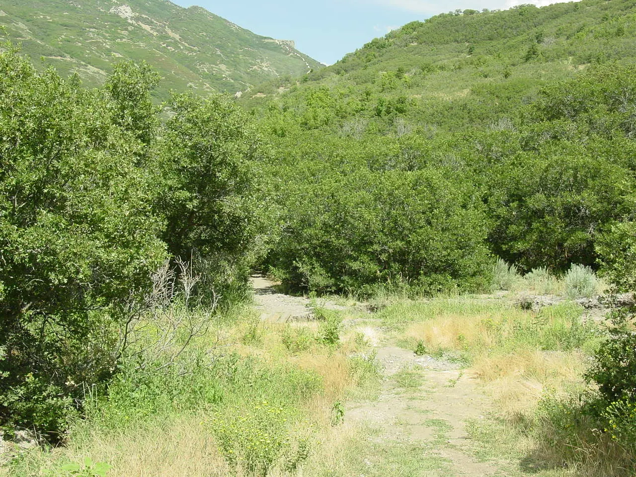 Corner Canyon, Draper, Utah, United States