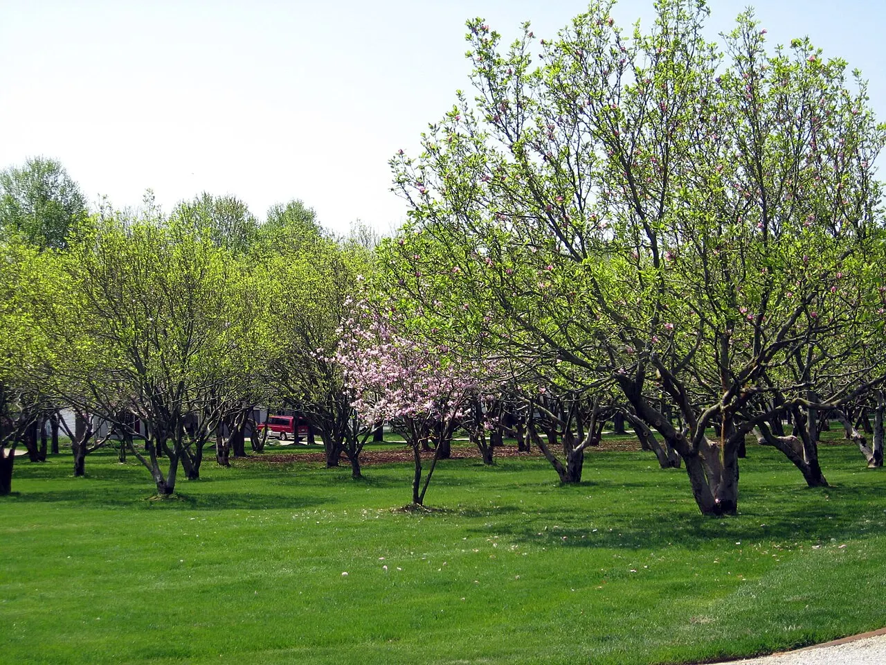 North Christian Church, Columbus, Indiana, United States
