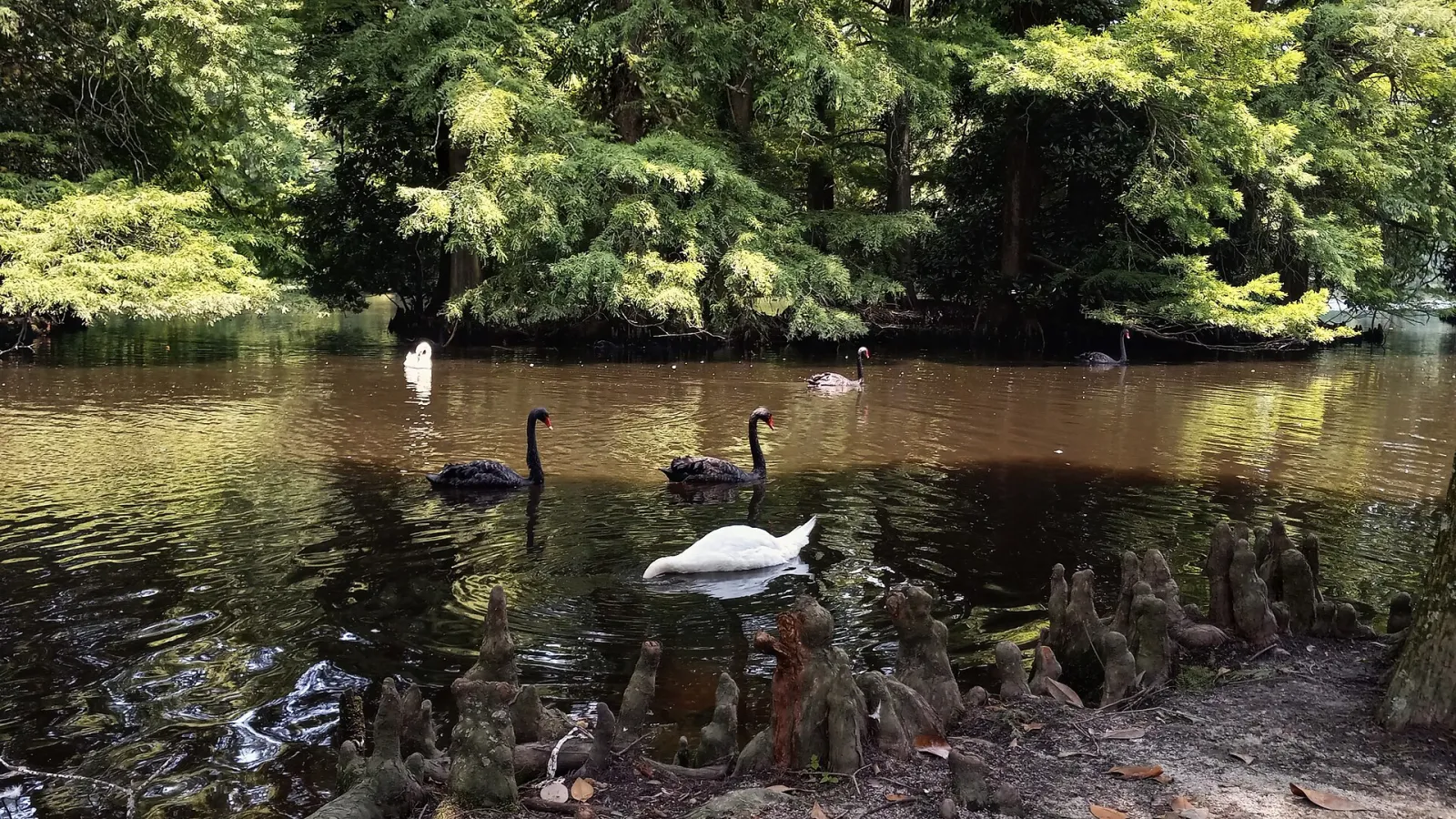 Sumter, South Carolina, United States