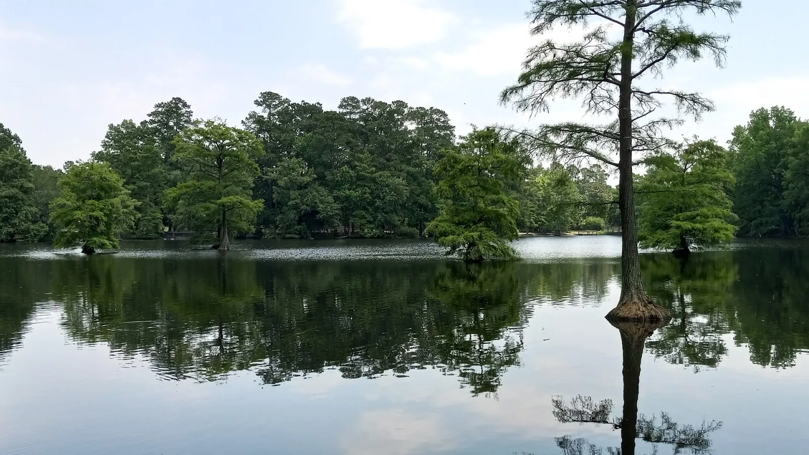 Swan Lake Iris Gardens, Sumter, South Carolina, United States