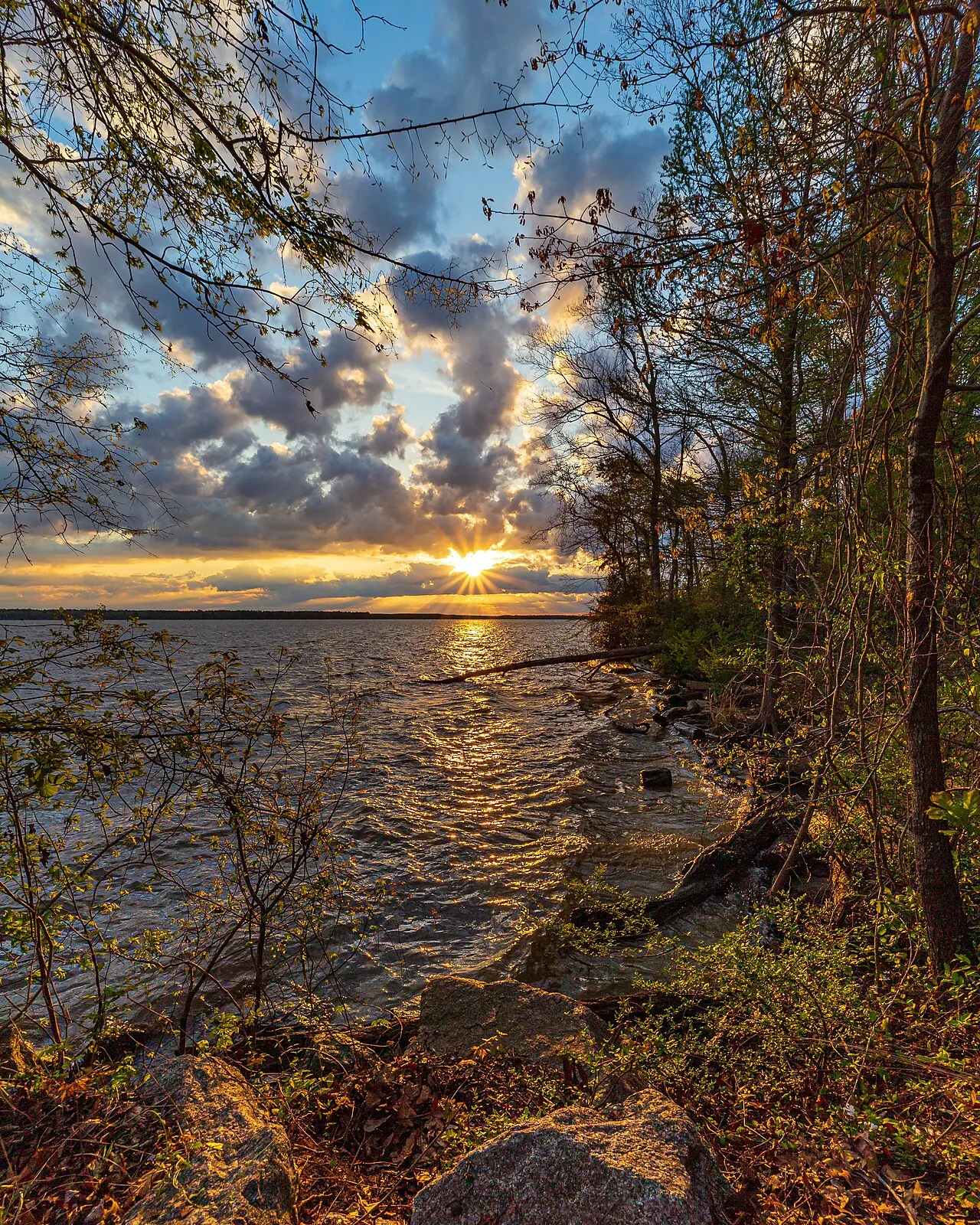 Lake Marion, Sumter, South Carolina, United States