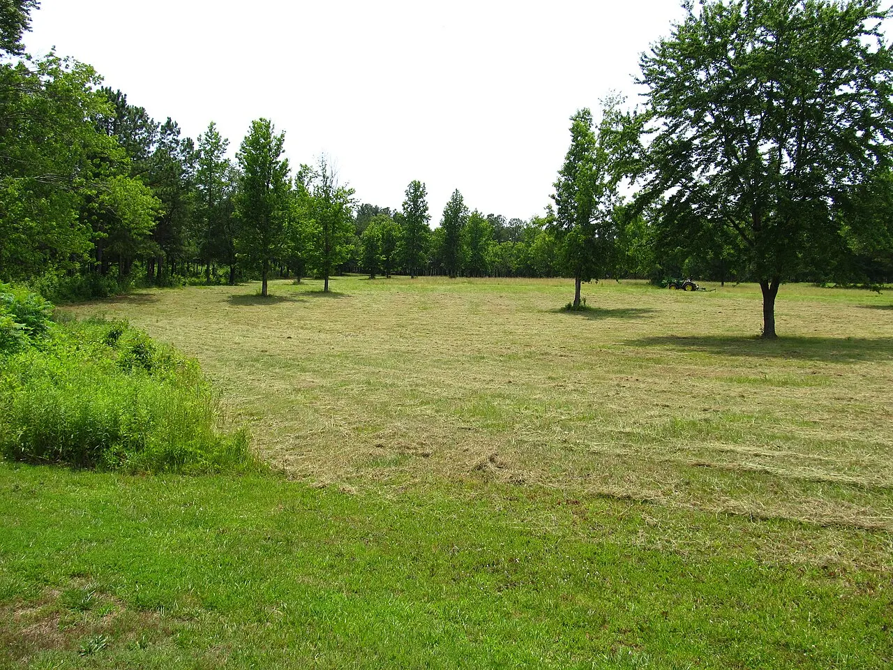Cowpens National Battlefield, Spartanburg, South Carolina, United States