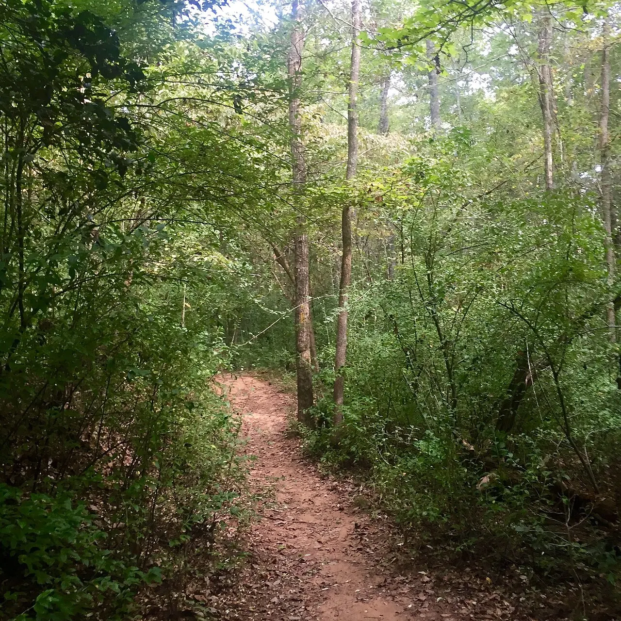Croft State Park, Spartanburg, South Carolina, United States