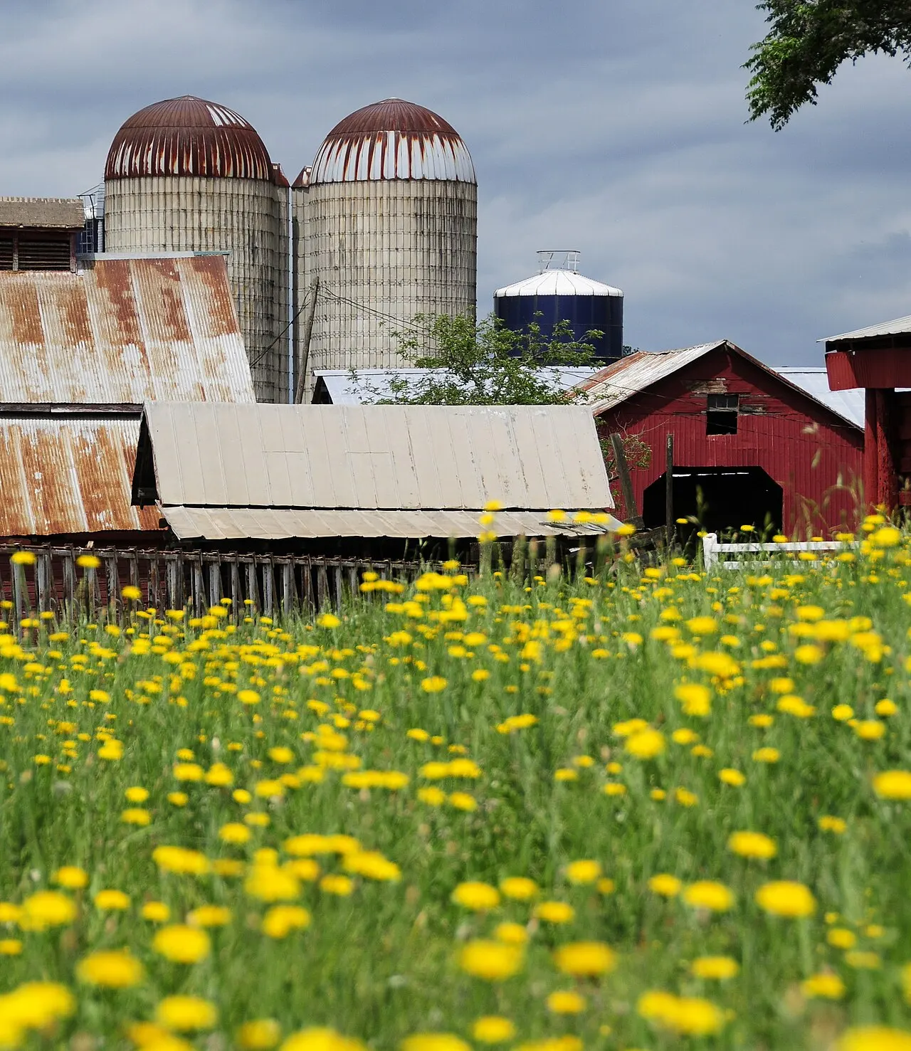 Denver Downs Farm, Anderson, South Carolina, United States