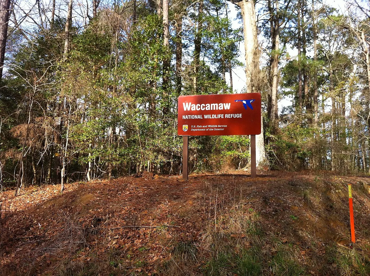 Waccamaw National Wildlife Refuge, Conway, South Carolina, United States