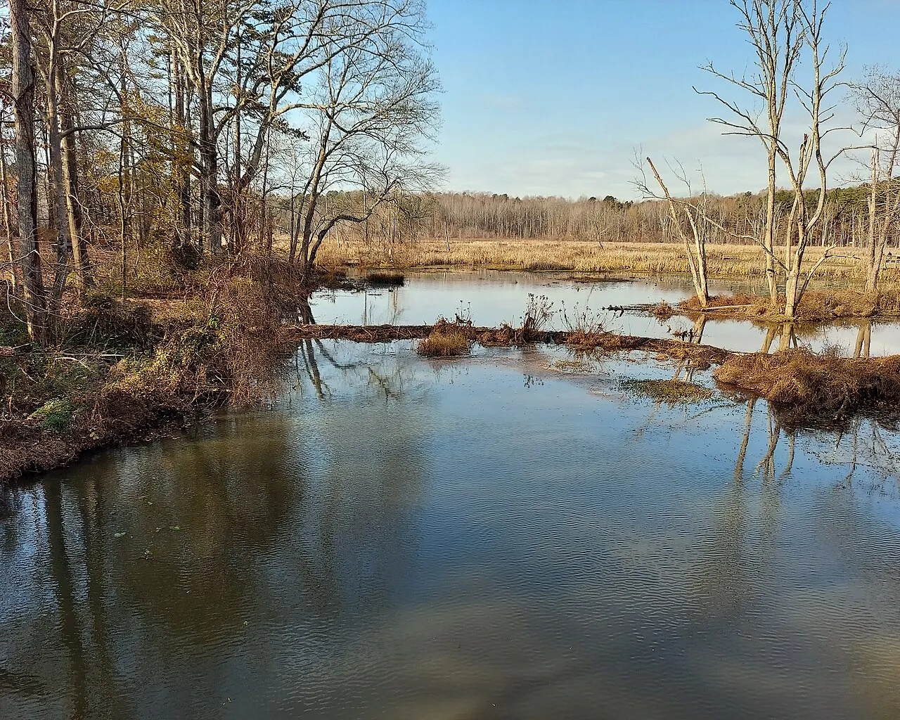 Lake Conestee Nature Preserve, Simpsonville, South Carolina, United States