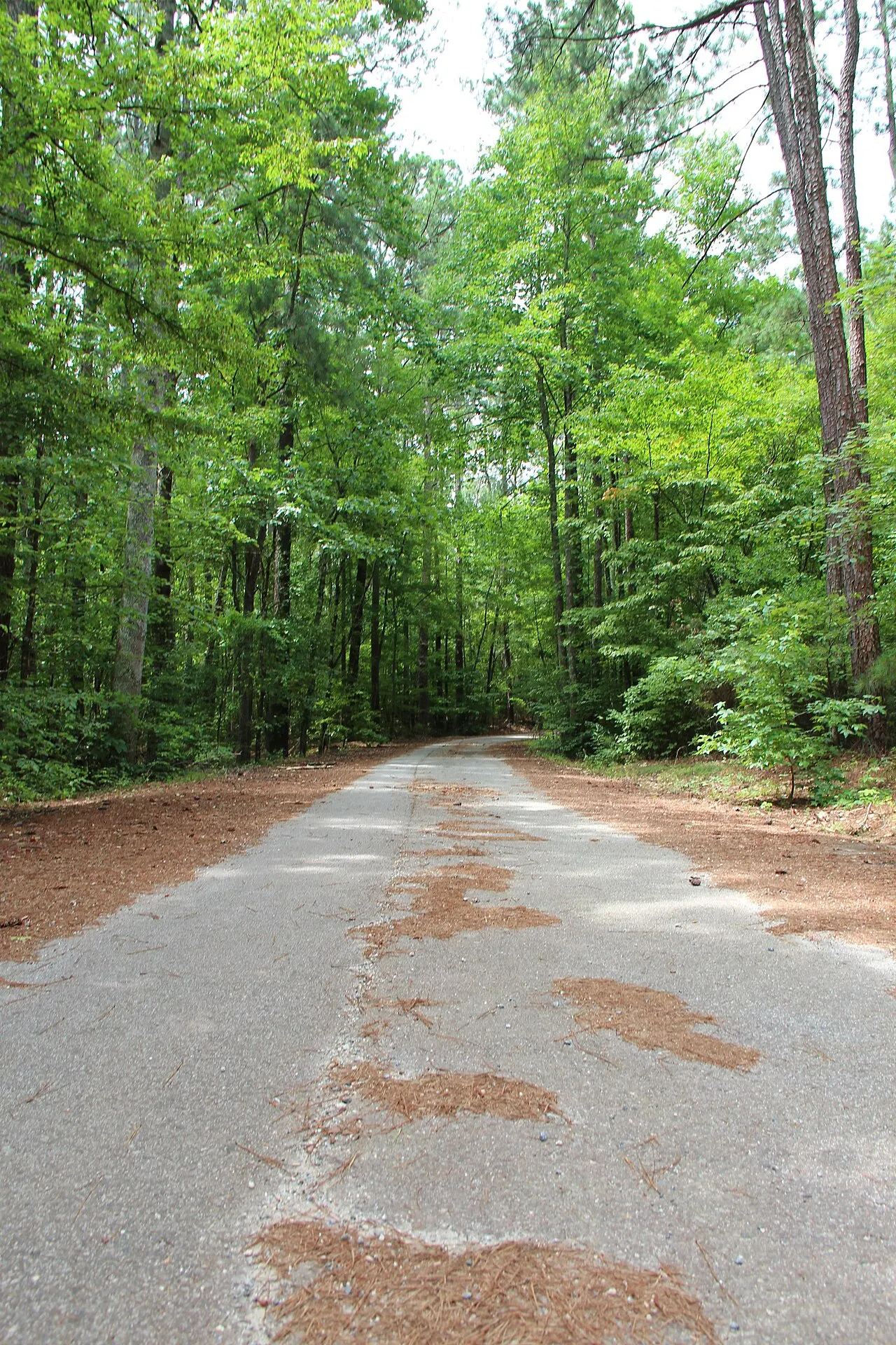Providence Park, Milton, Georgia, United States