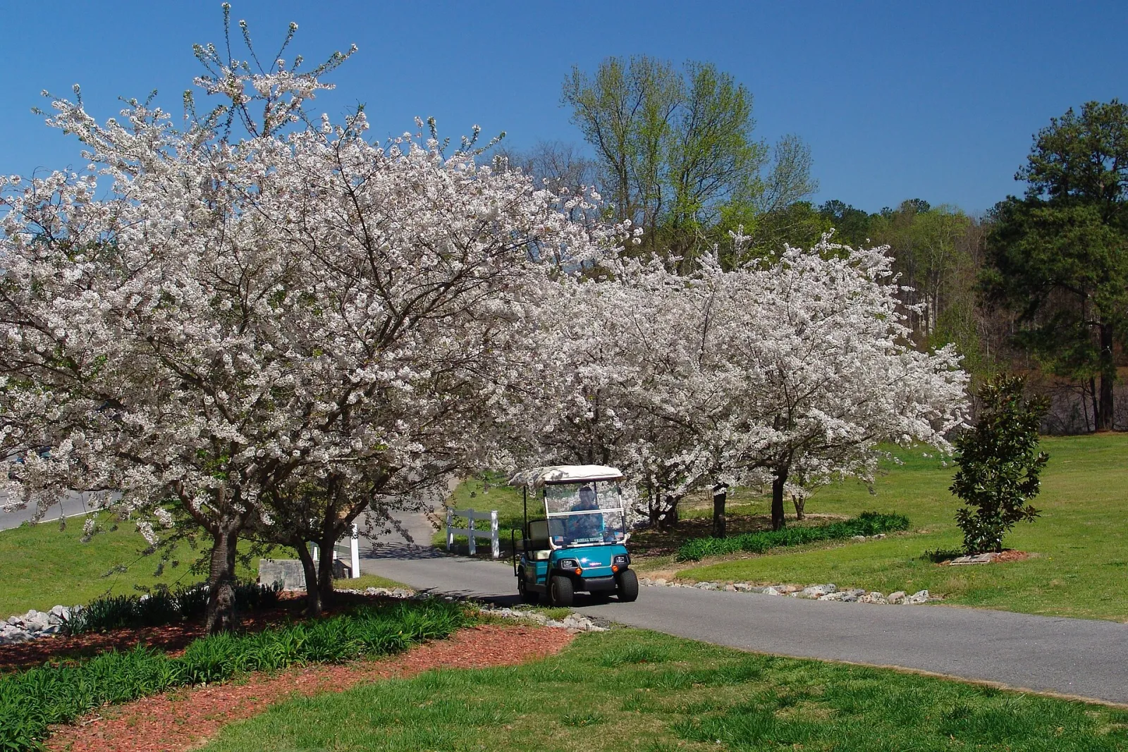 Peachtree City, Georgia, United States