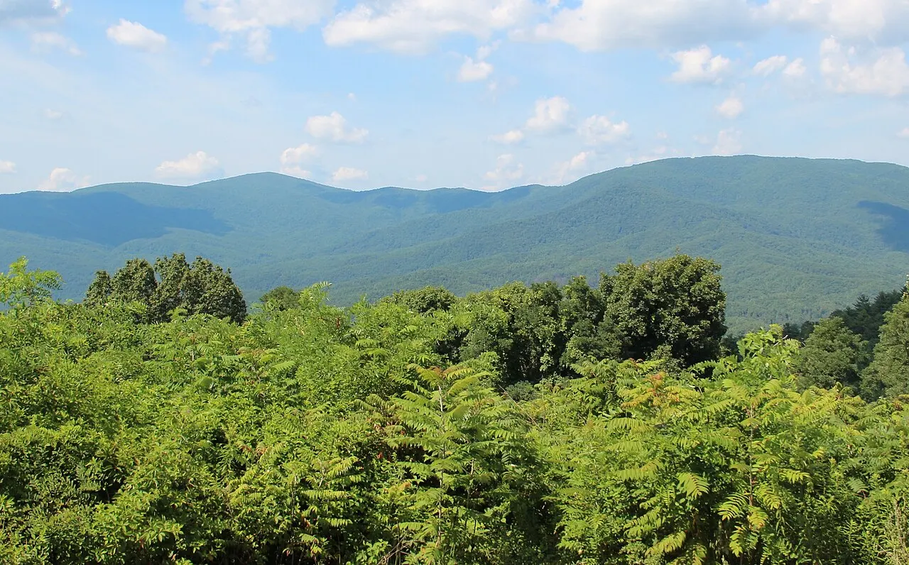 Cohutta Wilderness, Dalton, Georgia, United States