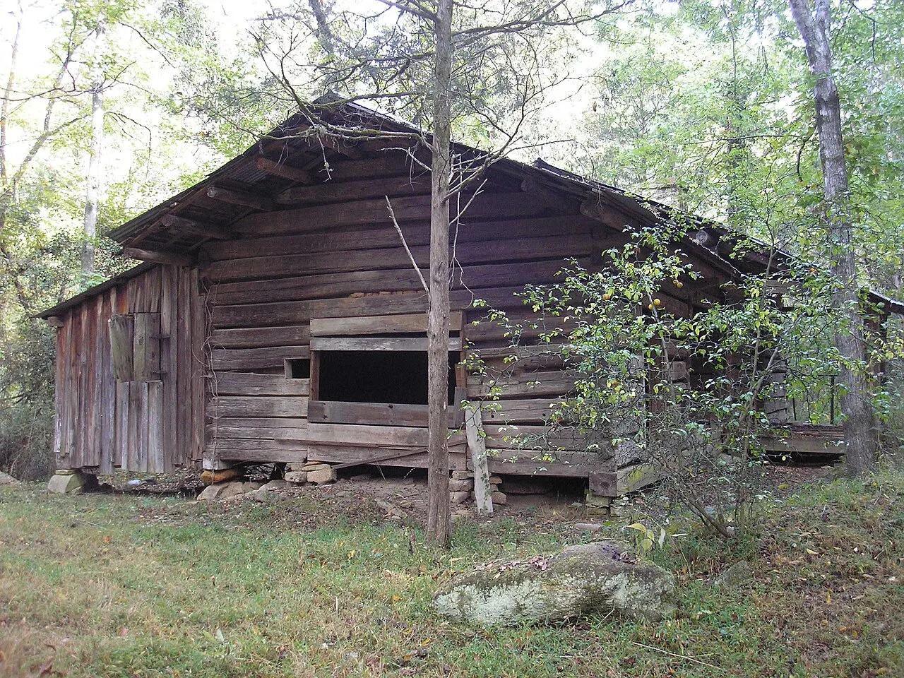 Clinton Nature Preserve, Douglasville, Georgia, United States