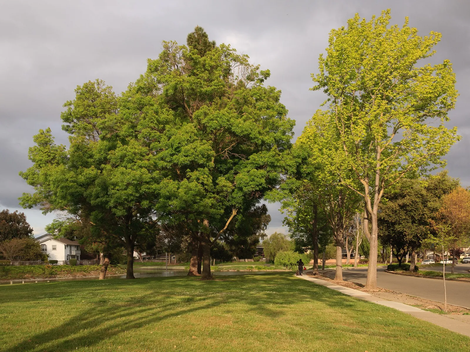 Lakeshore Park, Newark, California, United States