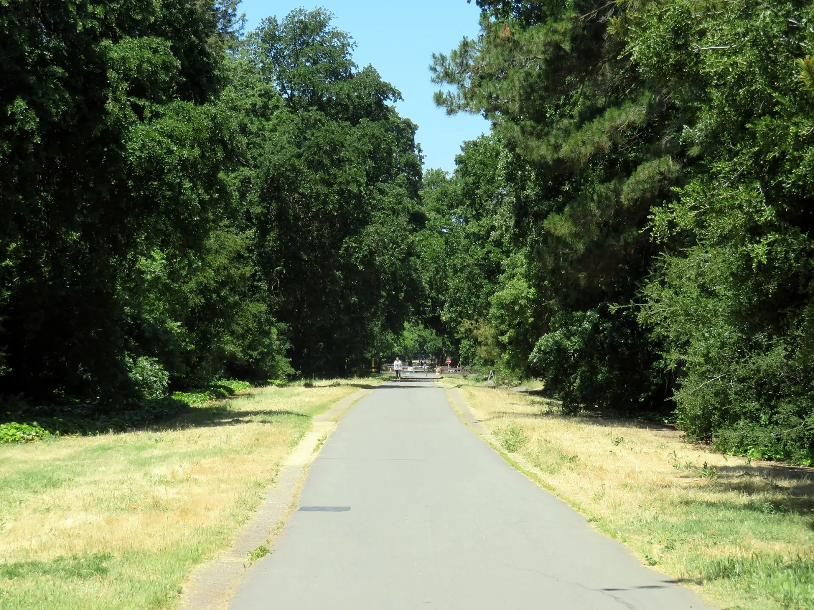 Iron Horse Regional Trail, Danville, California, United States