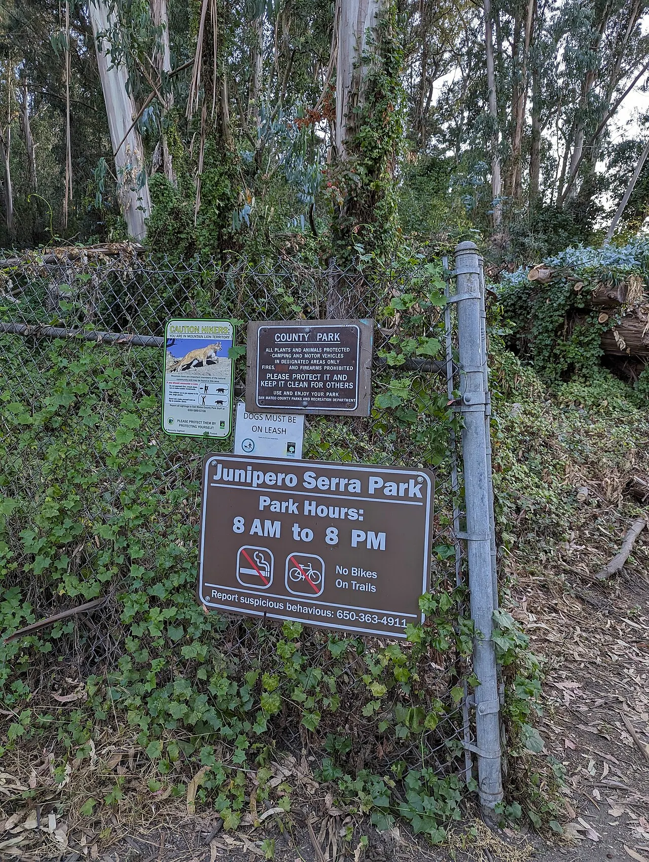Junipero Serra County Park, San Bruno, California, United States