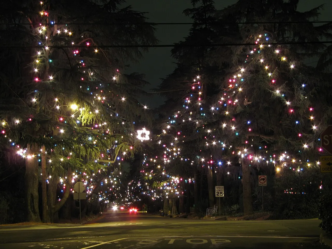 Christmas Tree Lane, Altadena, California, United States