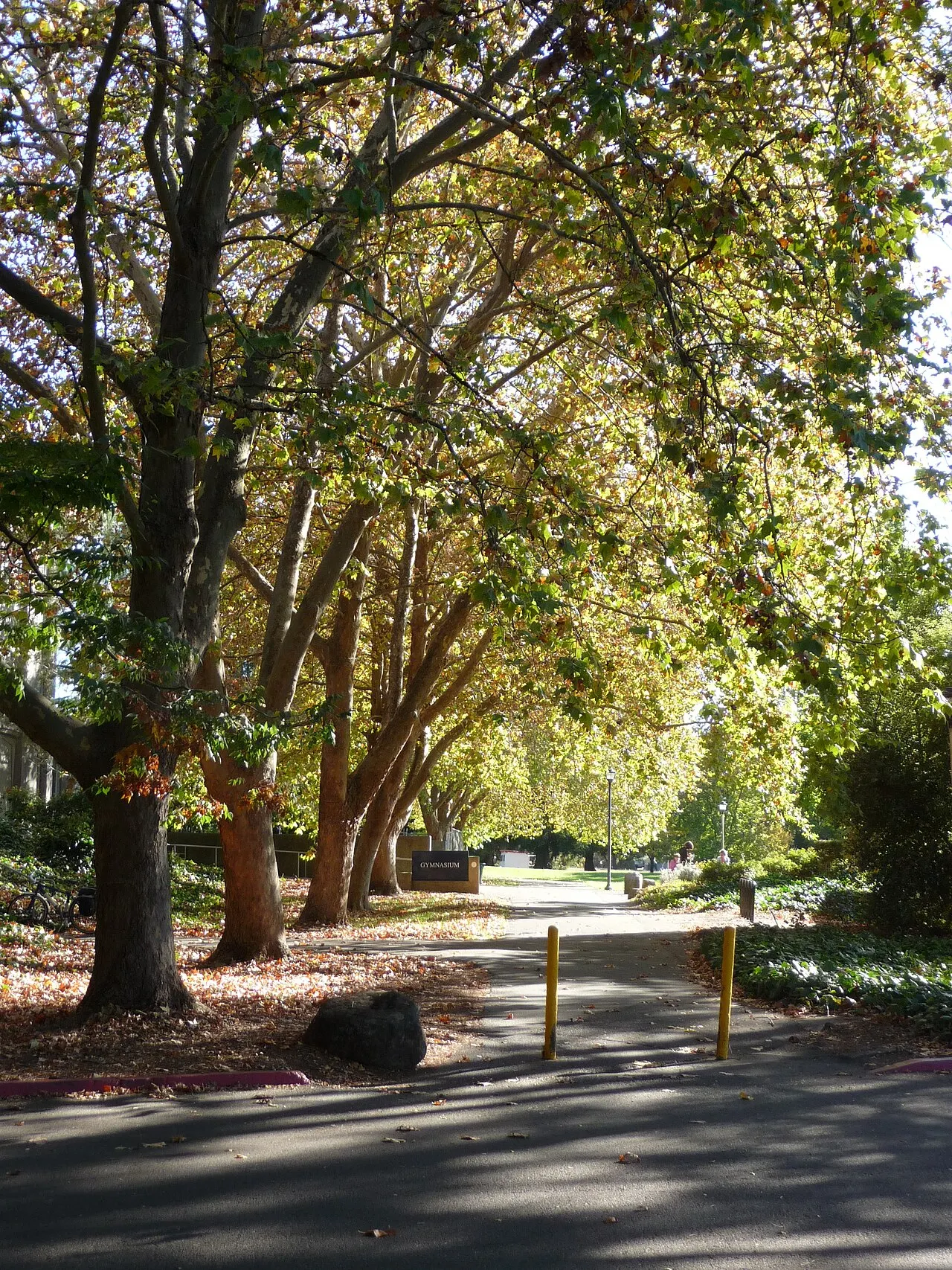Sonoma State University, Rohnert Park, California, United States