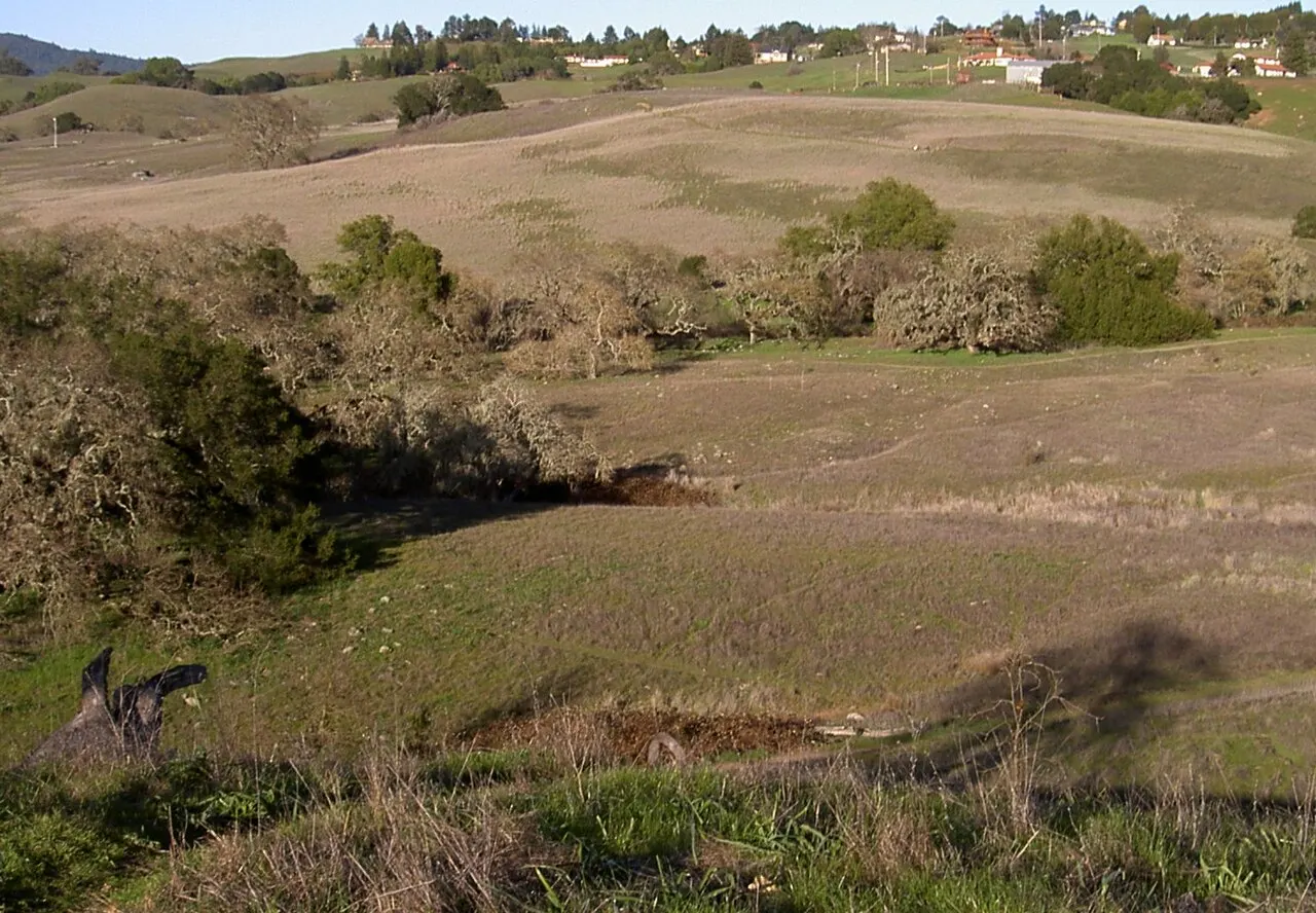 Crane Creek Regional Park, Rohnert Park, California, United States