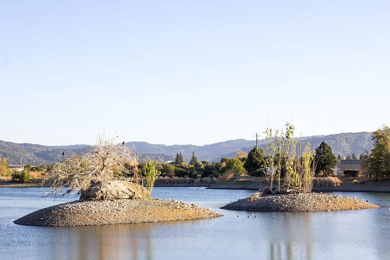 Los Gatos Creek County Park, Campbell, California, United States