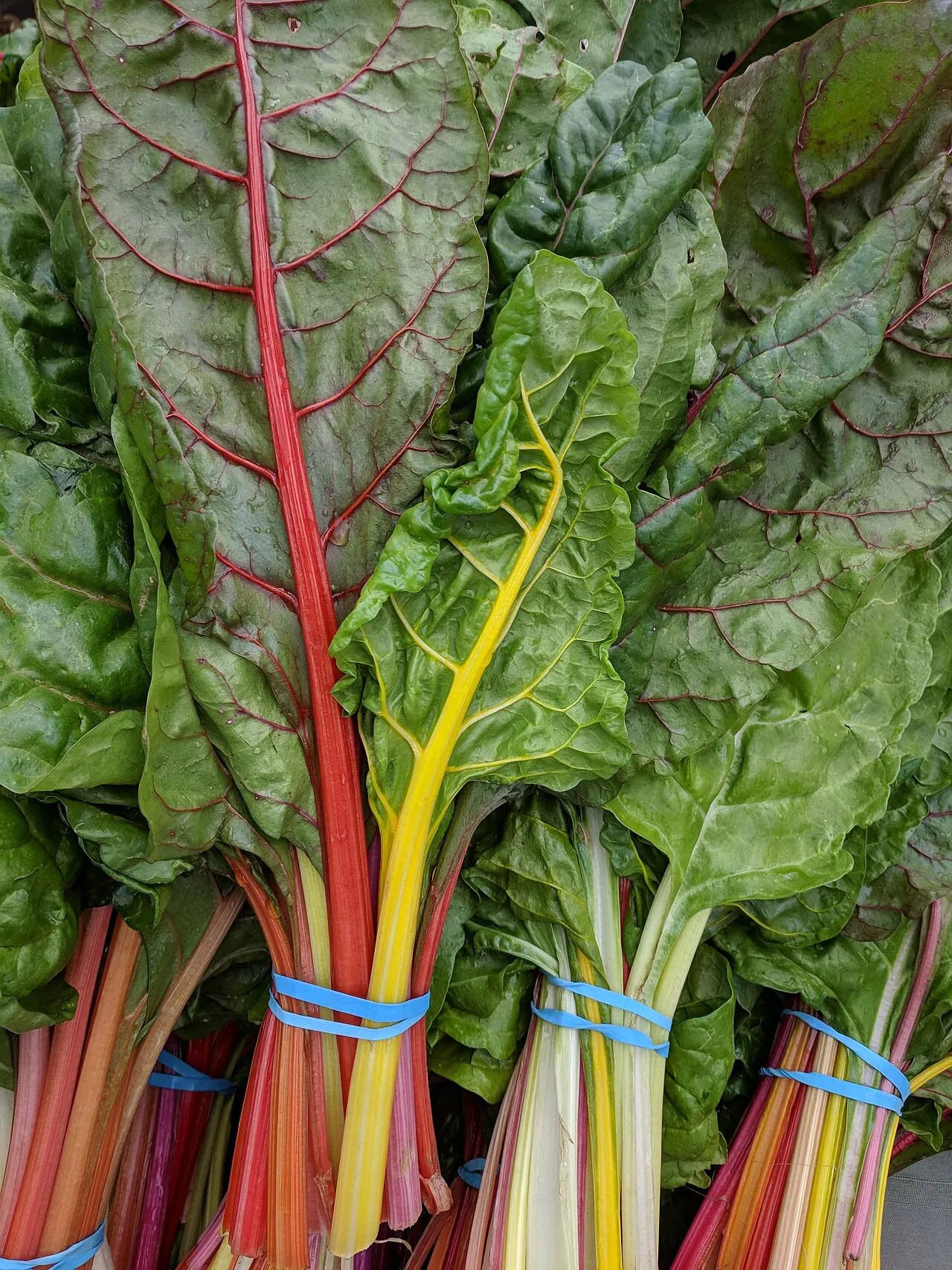 Campbell Farmers Market, Campbell, California, United States