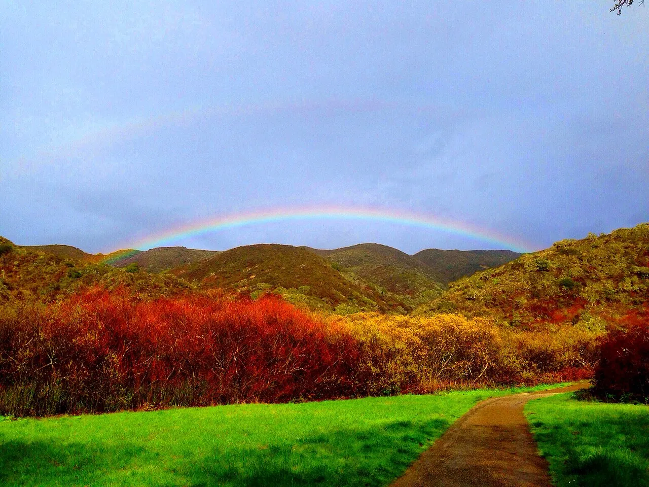 San Pedro Valley County Park, Pacifica, California, United States