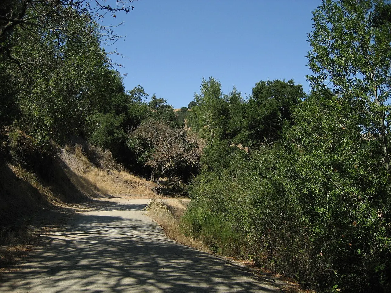 Briones Regional Park, Martinez, California, United States