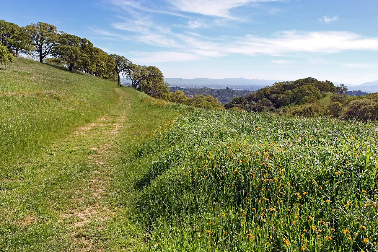 Mount Wanda, Martinez, California, United States
