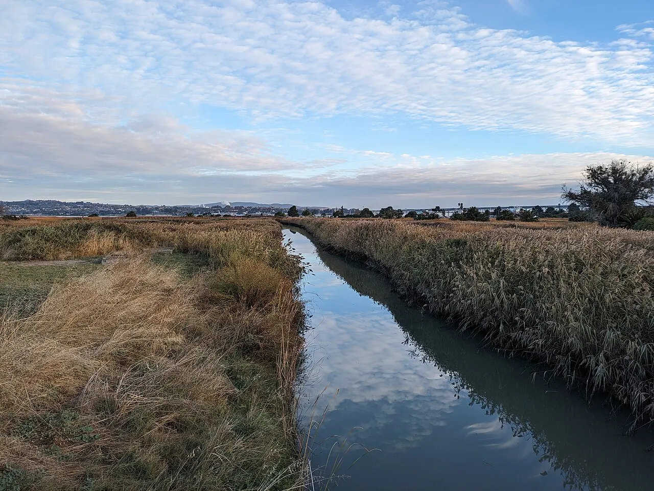 Martinez Regional Shoreline, Martinez, California, United States